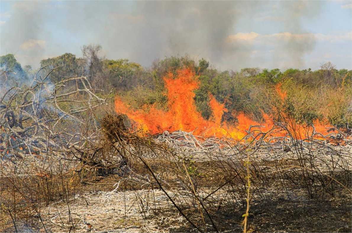 Polícia Militar prende homem por provocar incêndio em zona rural de Vila Rica