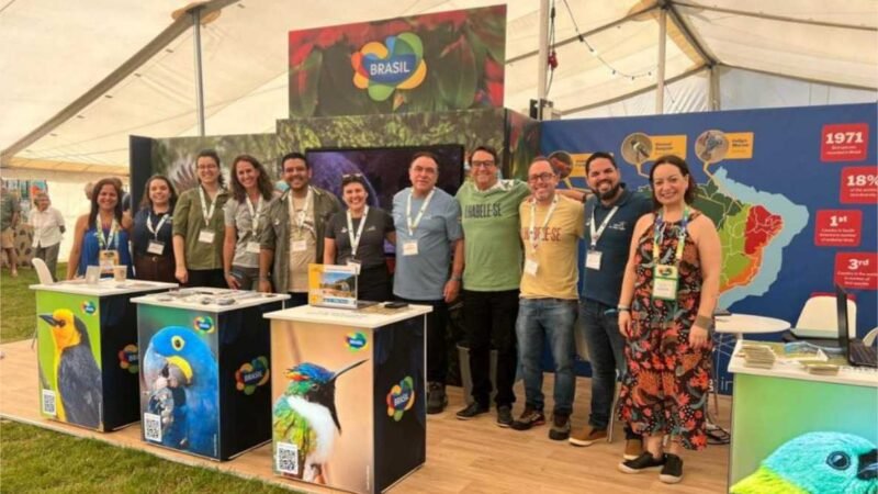 Terra de três biomas, Mato Grosso ganha destaque na maior feira de birdwatching do mundo