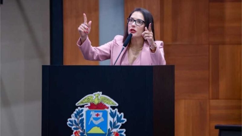 Janaina Riva afirma ter apoio de Baleia Rossi e Michel Temer para presidir MDB