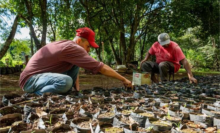 SEAF apoia pesquisa internacional sobre fungo que causa doença em trabalhadores rurais