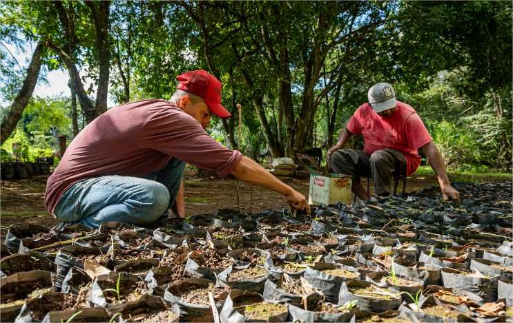 SEAF apoia pesquisa internacional sobre fungo que causa doença em trabalhadores rurais