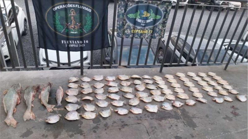 Mais de 20 quilos de pescado irregular são apreendidos pelo Batalhão Ambiental