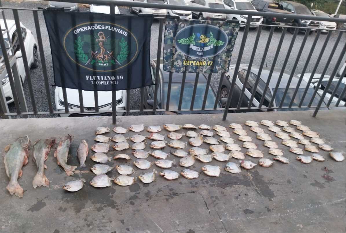 Mais de 20 quilos de pescado irregular são apreendidos pelo Batalhão Ambiental