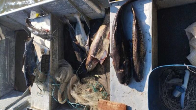 Batalhão Ambiental da PM prende homem por pesca irregular, apreende 25 quilos de peixes e aplica mais de R$ 28 mil em multa