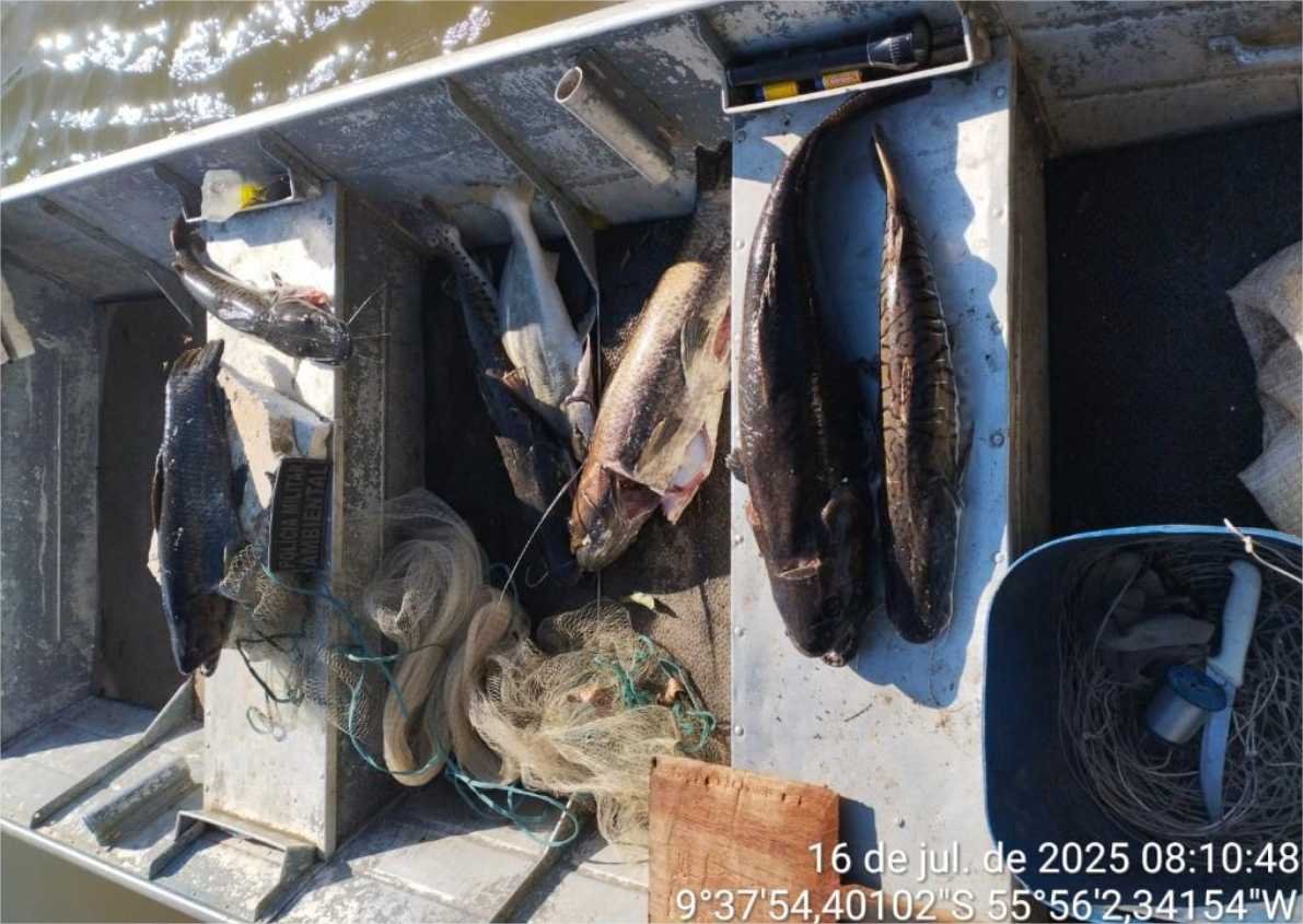 Batalhão Ambiental da PM prende homem por pesca irregular, apreende 25 quilos de peixes e aplica mais de R$ 28 mil em multa