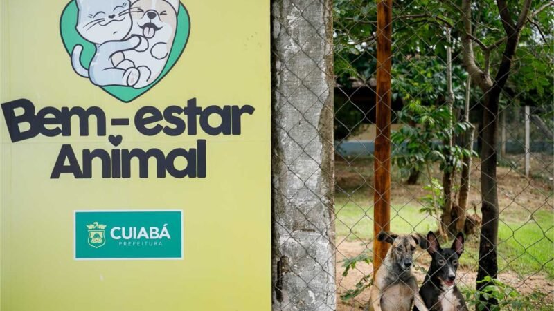 Bem-Estar Animal recebe mais de 450 kg de ração e inicia nova fase de distribuição solidária