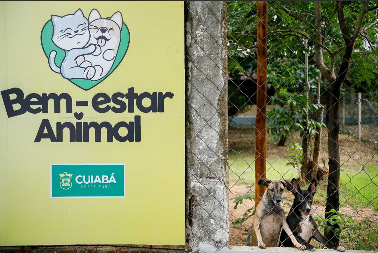 Bem-Estar Animal recebe mais de 450 kg de ração e inicia nova fase de distribuição solidária
