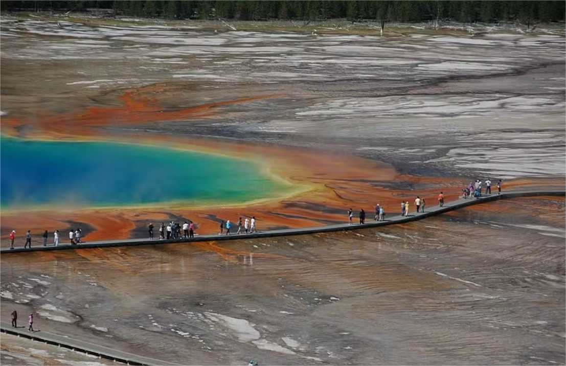 Turistas assistiram a bisão se dissolver em lago quente nos EUA, que chega a 89ºC