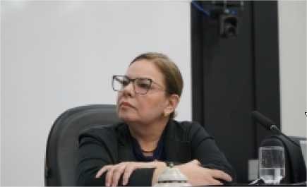 Paula apresenta projeto de adoção de espaços públicos por pessoas físicas e jurídicas