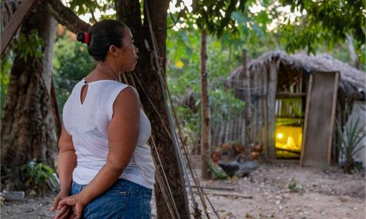 Governo de Mato Grosso abre edital de seleção para agricultores familiares acessarem recursos do FUNDAAF