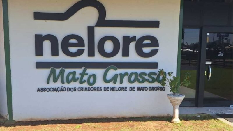 Nelore MT terá estande na Acricorte 2025 e reforça compromisso com a cadeia da carne