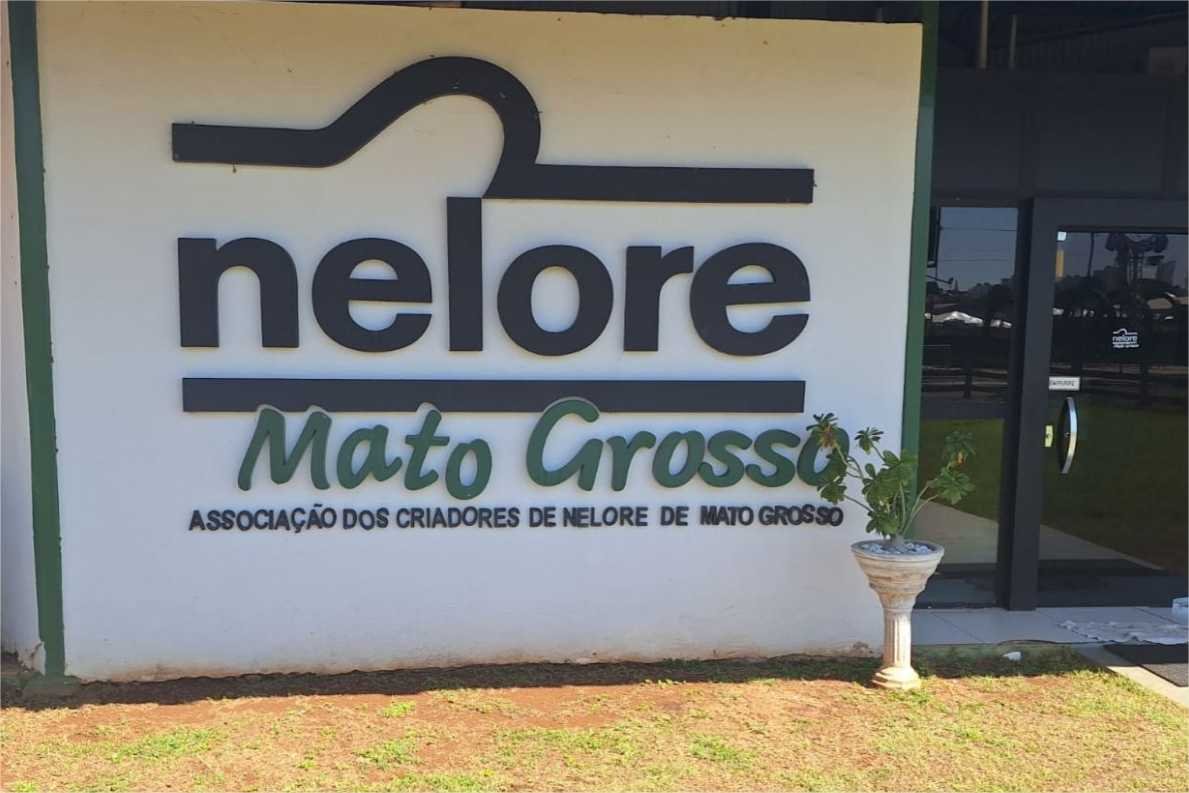 Nelore MT terá estande na Acricorte 2025 e reforça compromisso com a cadeia da carne