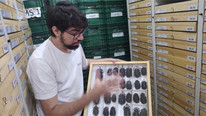 Mato Grosso aprova Instituto Nacional de Ciência e Tecnologia no valor de R$10 milhões junto ao CNPq