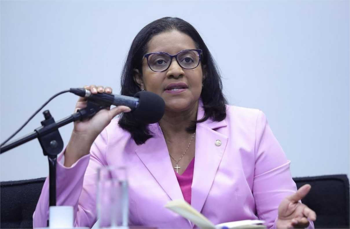 ‘Lei Maria da Penha é um marco, mas há um longo caminho para zerar crimes contra a mulher’, diz deputada