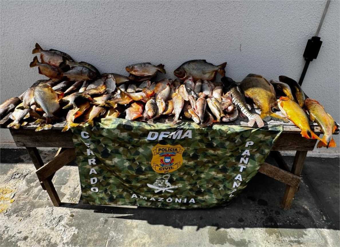 Apreensão de pescado pela Dema cresce 570% nos primeiros 6 meses de 2025