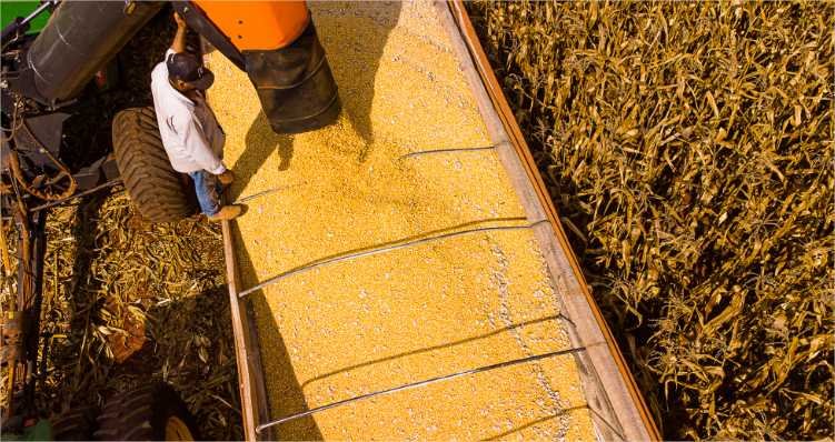 Mato Grosso lidera saldo da balança comercial brasileira no primeiro semestre de 2025