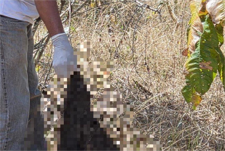 Ossada encontrada pela Polícia Civil revela indícios de tortura e decapitação
