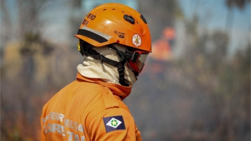 Corpo de Bombeiros combate 23 incêndios florestais nesta quinta-feira (11)