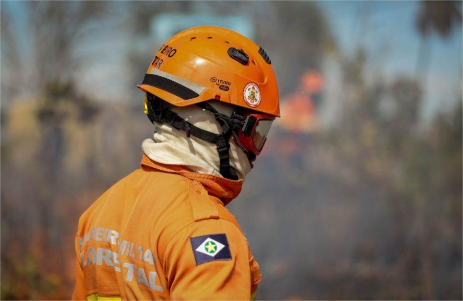 Corpo de Bombeiros combate 23 incêndios florestais nesta quinta-feira (11)