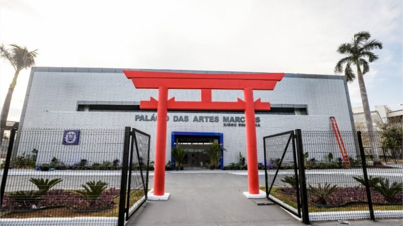 MT Warriors traz lutas 100% profissionais de kickboxing com entrada gratuita; saiba como retirar o ingresso