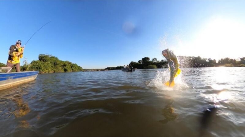 Confira as dez cidades de MT com os melhores destinos para pesca esportiva