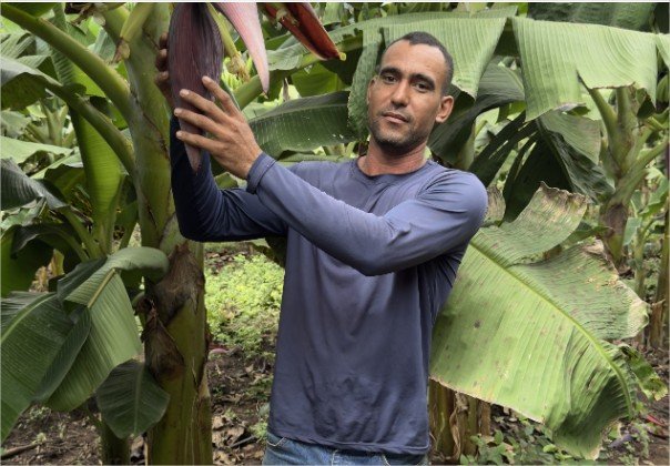 Pequenos agricultores podem receber até R$ 28 mil por ações que preservem floresta amazônica