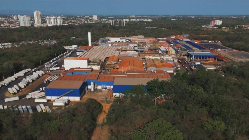 MBRF usa alta tecnologia para garantir qualidade e eficiência na produção de hambúrgueres