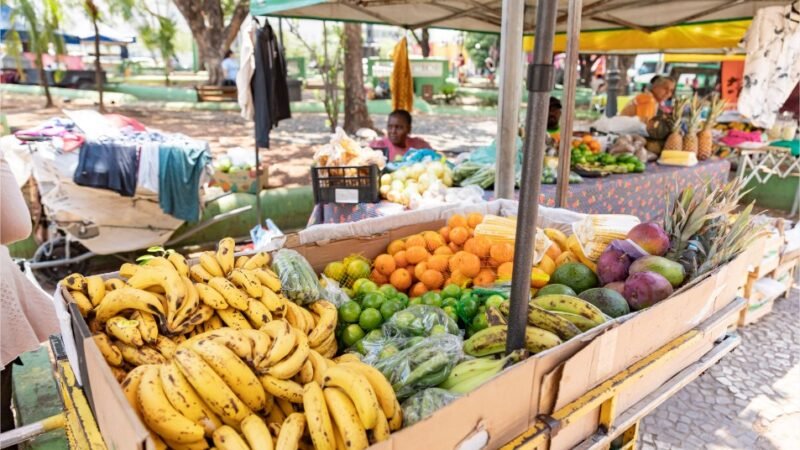 Praça Ipiranga recebe a Feira da Agricultura Familiar e Solidária nesta segunda