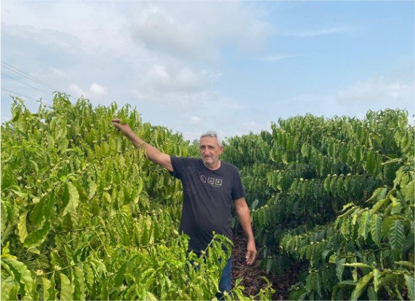 Com incentivo do Governo de MT, o produtor de Aripuanã colhe primeira safra de café