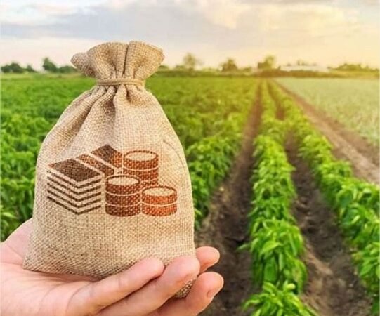 Fiagril se antecipa e inicia adequações às novas regras da Reforma Tributária