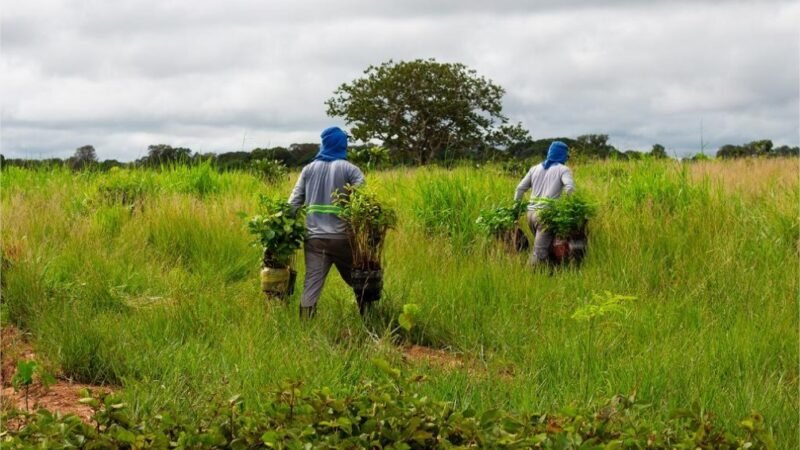 Sema e parceiros lançam segundo lote do Programa Todos pelo Araguaia nesta quinta-feira (23)