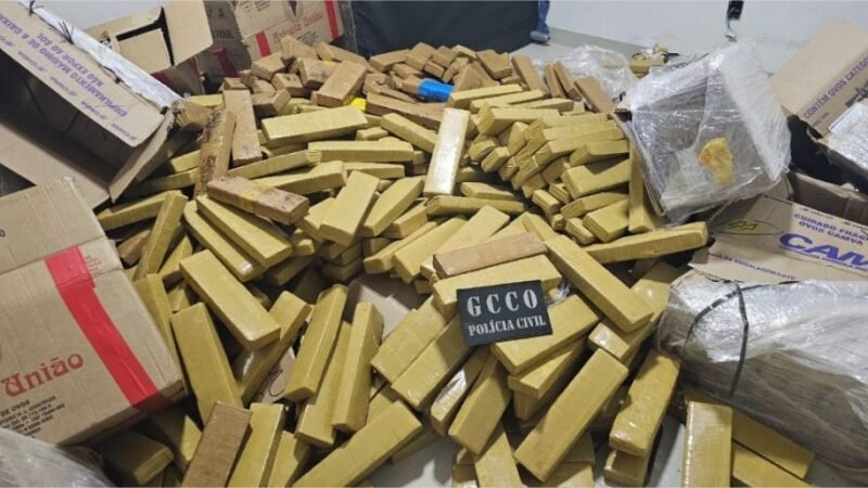 Apreensões de drogas em 2025 geram prejuízo de R$ 574 milhões às facções criminosas