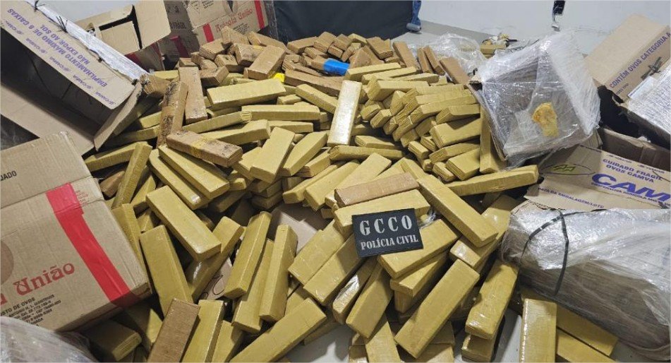 Apreensões de drogas em 2025 geram prejuízo de R$ 574 milhões às facções criminosas