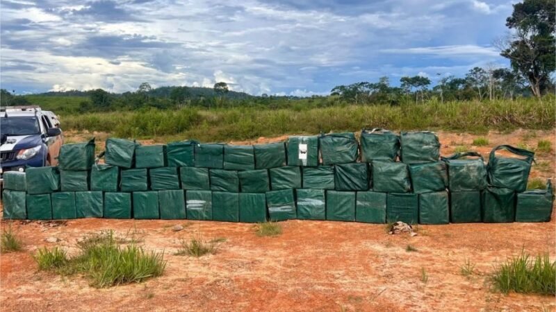 Forças de segurança apreendem 35 toneladas de drogas em 2025 em Mato Grosso