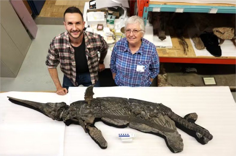 Raro fóssil de dragão-espada pré-histórico é achado na Inglaterra