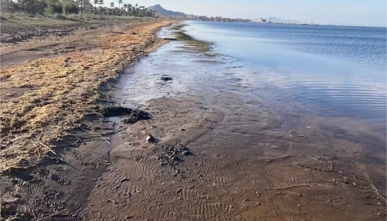 Esta lagoa virou reservatório de metais tóxicos após anos de extração de sal