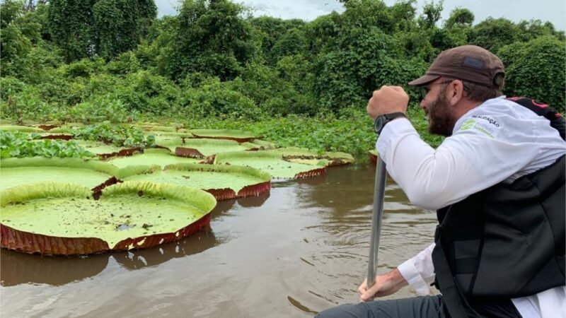 Mato Grosso sediará 1ª edição da COP Pantanal