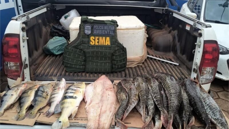 Sema e PM apreendem cerca de 70 quilos de pescado irregular nos últimos quatro dias
