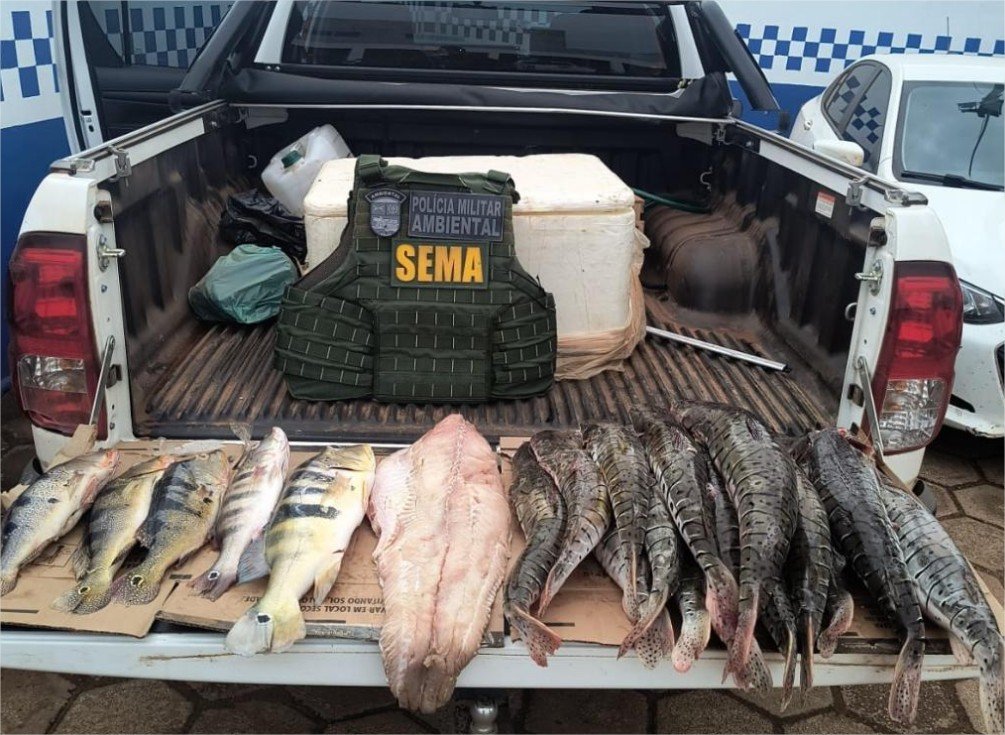Sema e PM apreendem cerca de 70 quilos de pescado irregular nos últimos quatro dias