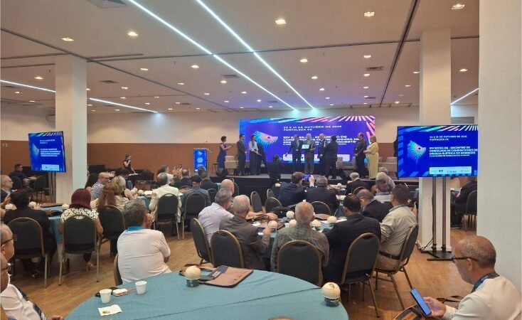 Conselho de Consumidores de MT participa de debates sobre a transição energética no setor elétrico nacional