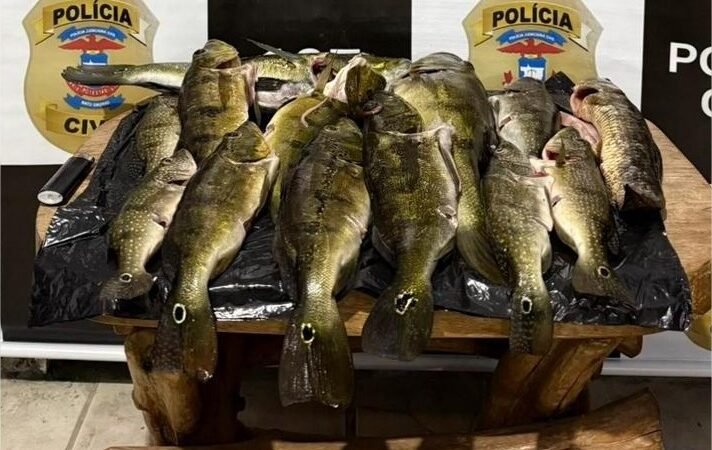 Polícia Civil realiza operação em combate à pesca predatória em Canarana