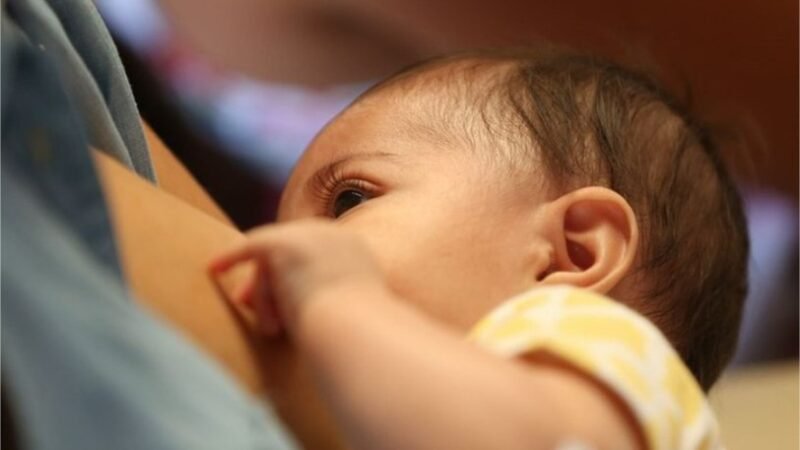 SES promove oficina sobre aconselhamento em amamentação