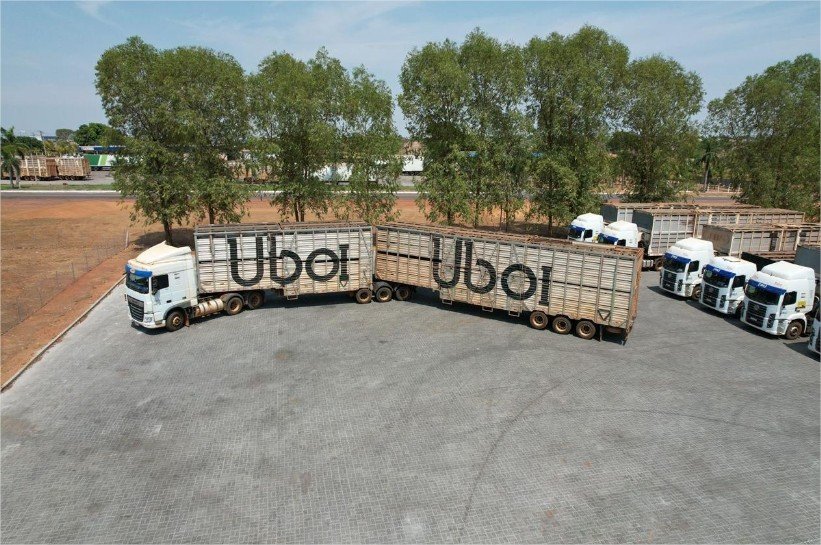 Uboi, da JBS, ultrapassa 5 milhões de cabeças de gado transportadas no Brasil