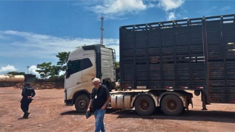 Fiscalização flagra motorista com Guia de Trânsito Animal (GTA) falsa