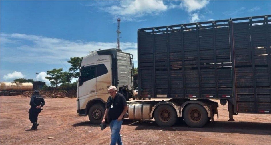 Fiscalização flagra motorista com Guia de Trânsito Animal (GTA) falsa