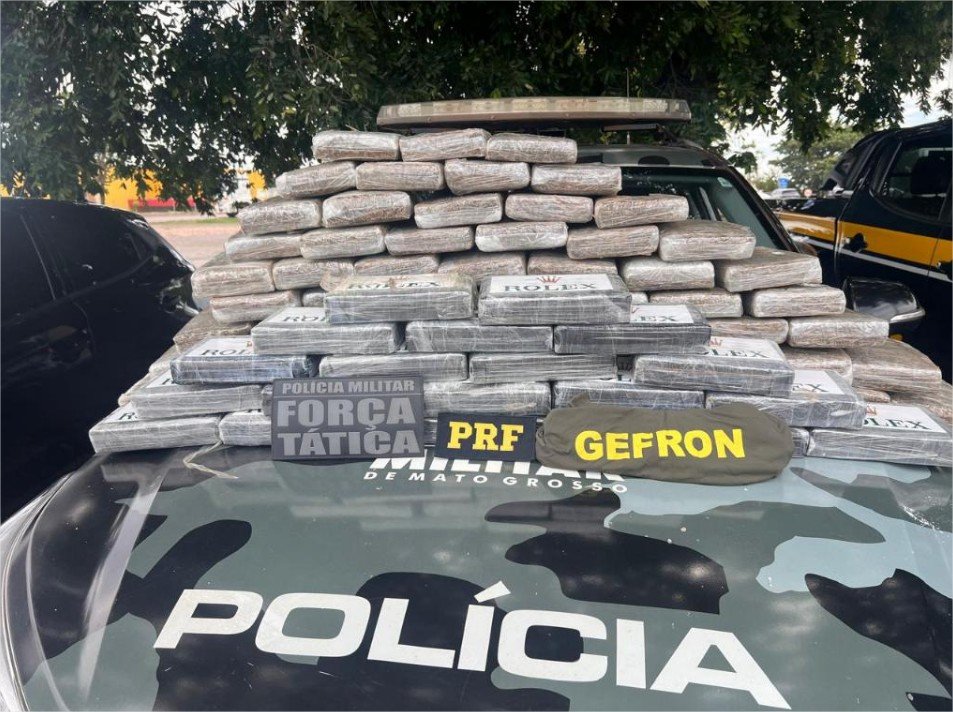 Ação integrada apreende 79 tabletes de drogas em Nossa Senhora do Livramento