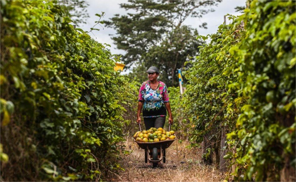 Parcerias da Seaf com Sema e Intermat vão viabilizar regularização fundiária e ambiental pelo MT Produtivo