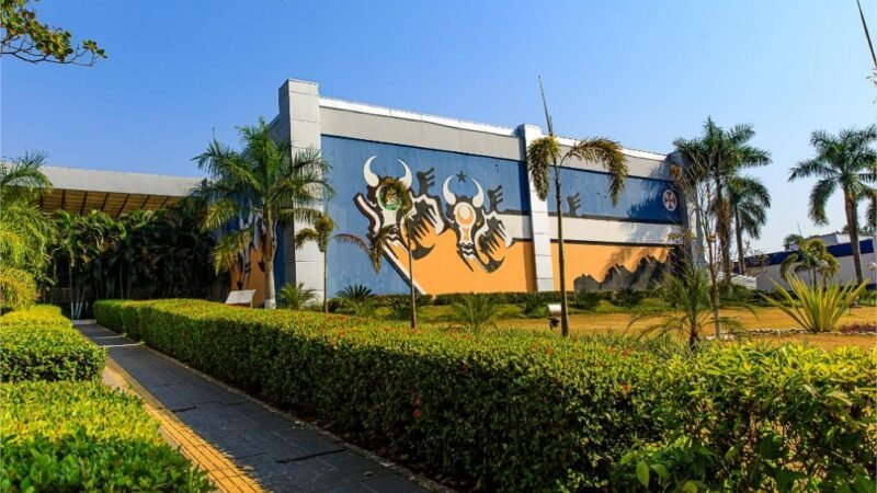 Governo de MT vai mostrar como aliar produção de alimentos e preservação ambiental na COP 30