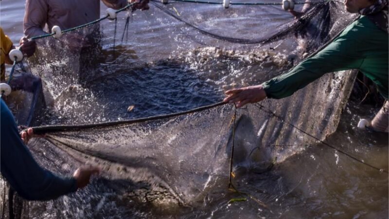 Sedec e Prefeitura de Paranaíta firmam convênio para instalar fábrica municipal de ração para peixes