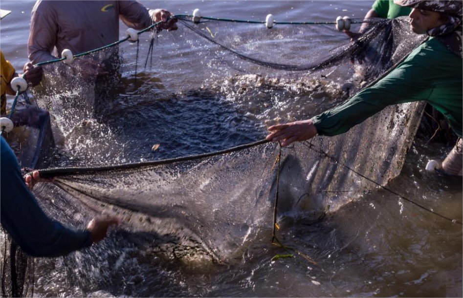 Sedec e Prefeitura de Paranaíta firmam convênio para instalar fábrica municipal de ração para peixes